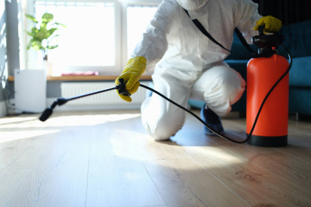 Reliable Odor Removal contractor in Port Orchard, WA by Trauma Clean Pros